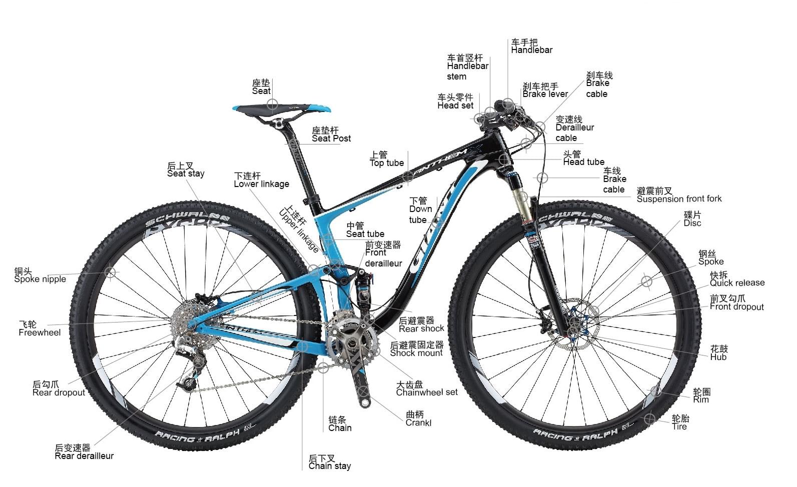 自行车的车轮直径和前、后齿轮的个数及齿数-自行车前齿轮齿数和后齿轮齿数